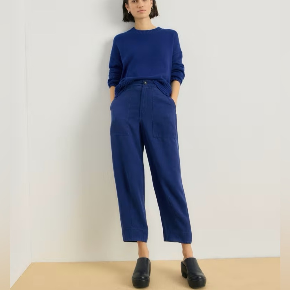 Everlane utility pant in Buttersoft bellwether blue size 0